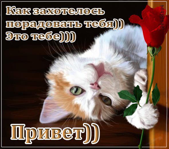 Как захотелось порадовать тебя! Привет!