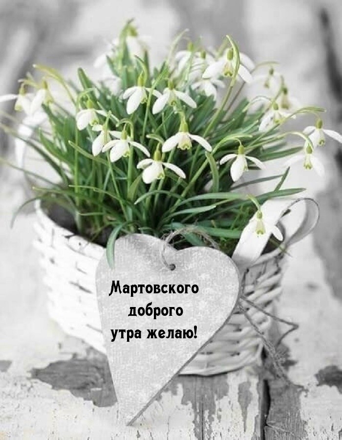 Мартовского доброго утра желаю!
