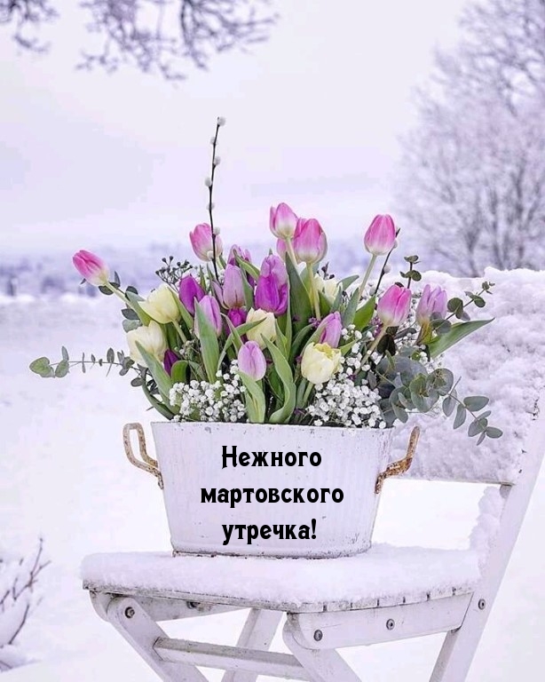 Нежного мартовского утречка!