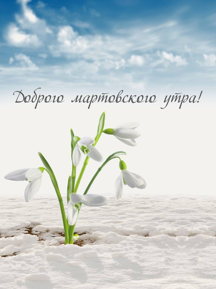 Доброго мартовского утра!