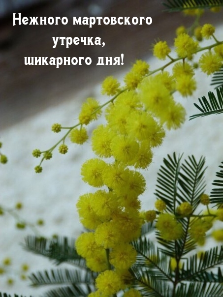 Нежного мартовского утречка, шикарного дня!