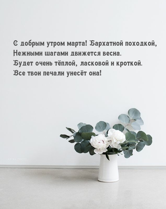 С добрым утром марта! Бархатной походкой, движется весна.
