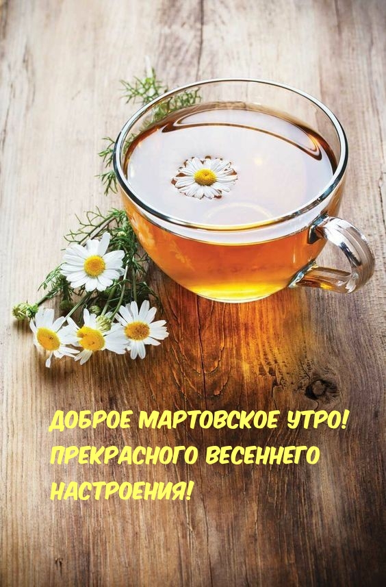 Доброе мартовское утро! Прекрасного весеннего настроения!