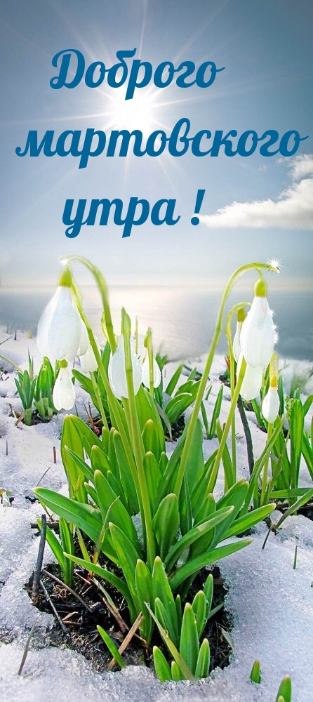 Доброго мартовского утра!