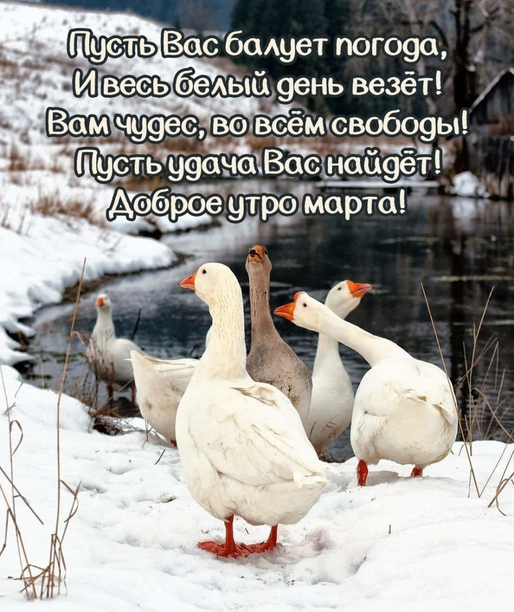 Пусть удача Вас найдёт! Доброе утро марта!