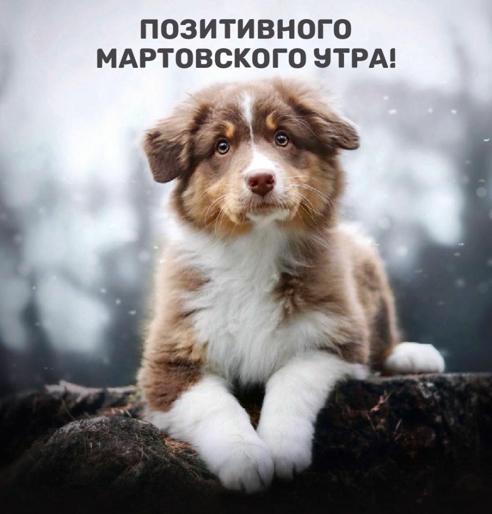 Позитивного мартовского утра!
