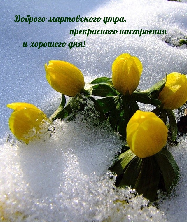 Доброго мартовского утра, прекрасного настроения и хорошего дня!