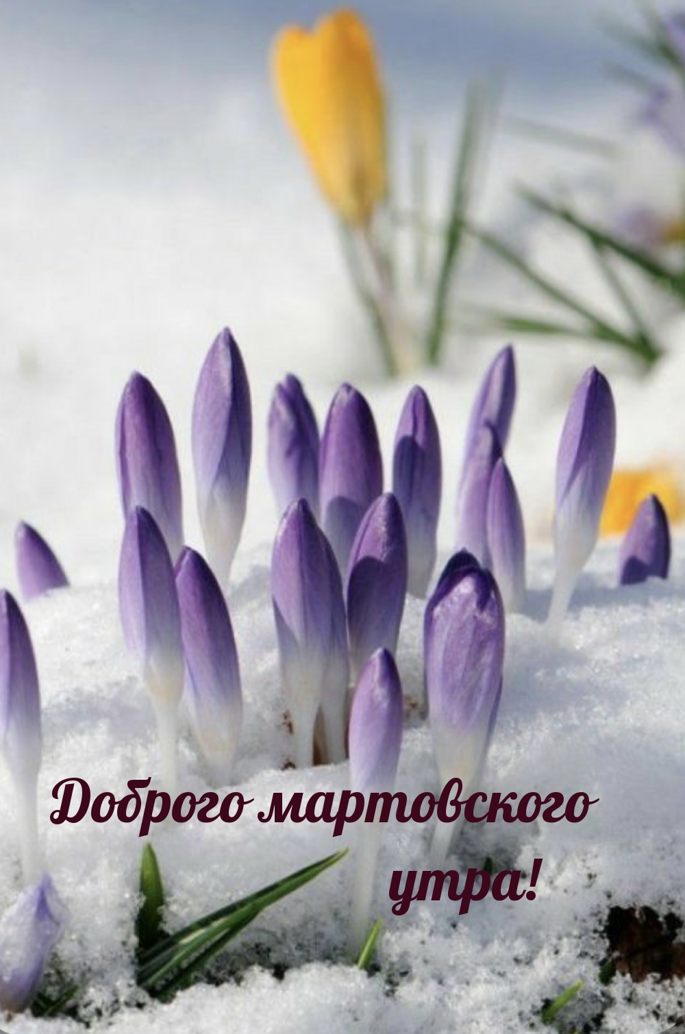 Доброго мартовского утра!