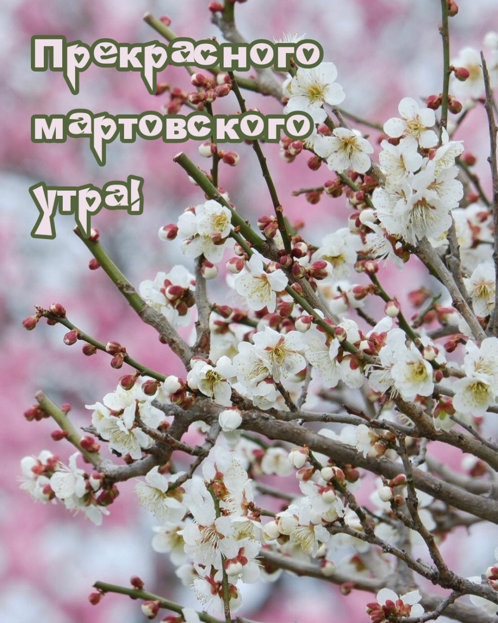 Прекрасного мартовского утра!