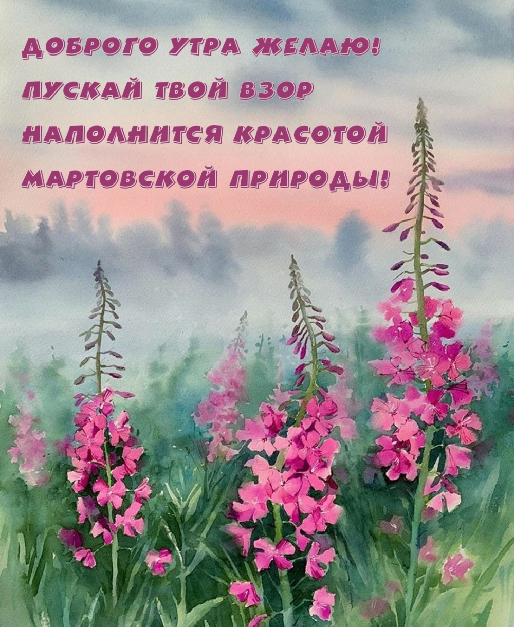 Пускай твой взор наполнится красотой мартовской природы!