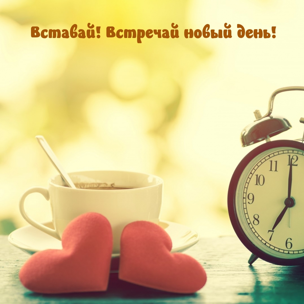 Вставай! Встречай новый день!