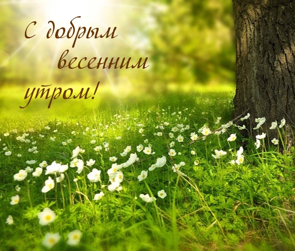 С добрым весенним утром!