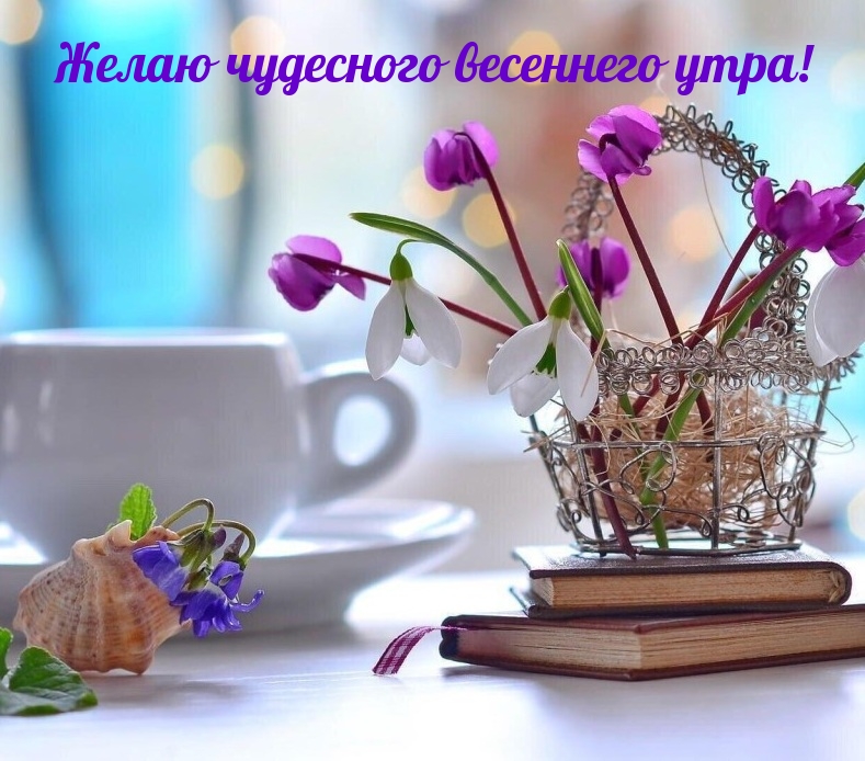Желаю чудесного весеннего утра!