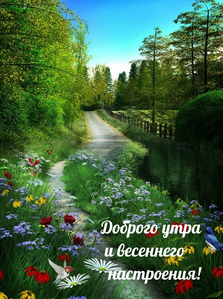 Доброго утра и весеннего настроения!