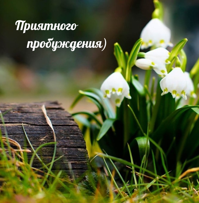 Приятного пробуждения)