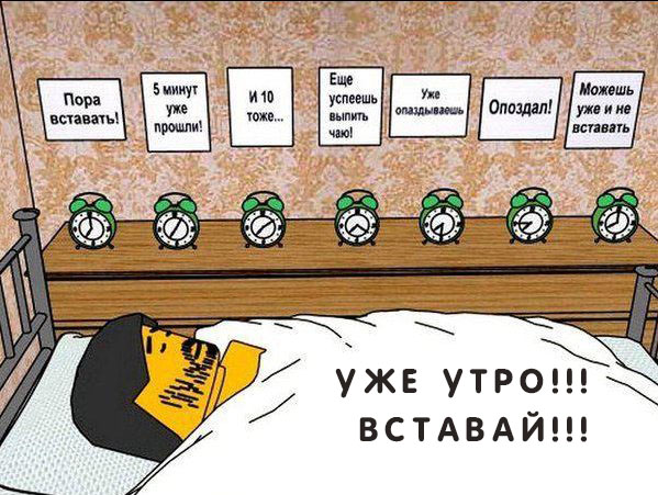 Картинка - Уже утро! Вставай!.