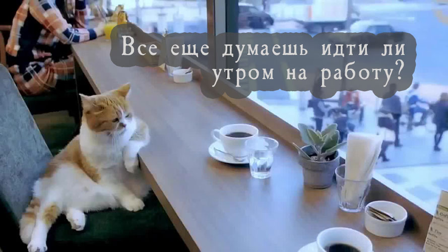 Все еще думаешь, идти ли утром на работу:?