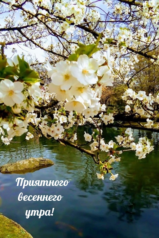 Приятного весеннего утра!