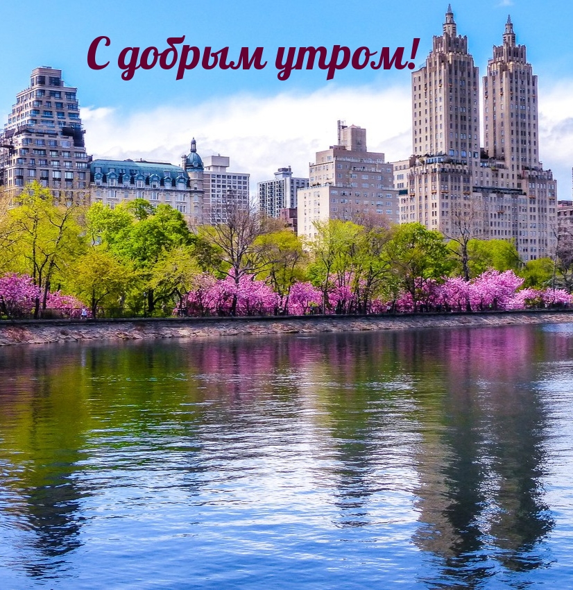 С добрым утром!