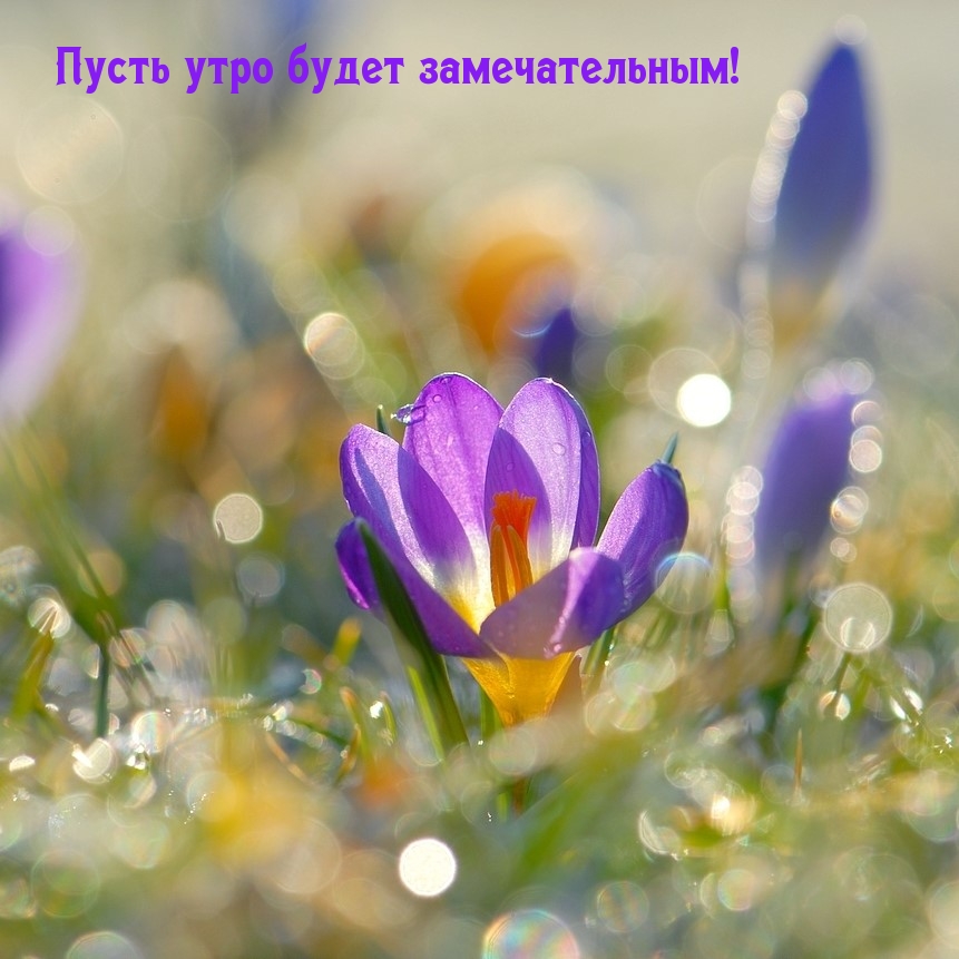 Пусть утро будет замечательным!