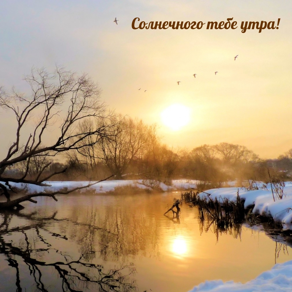 Солнечного тебе утра!