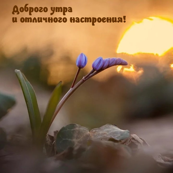 Доброго утра и отличного настроения!