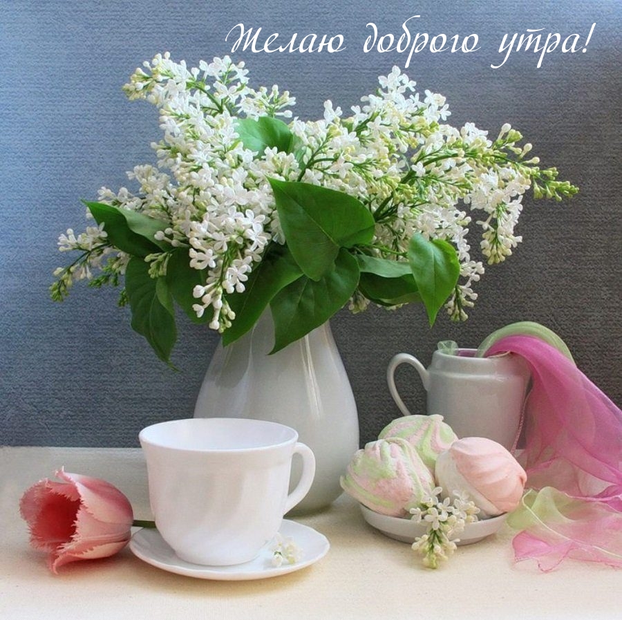 Желаю доброго утра!