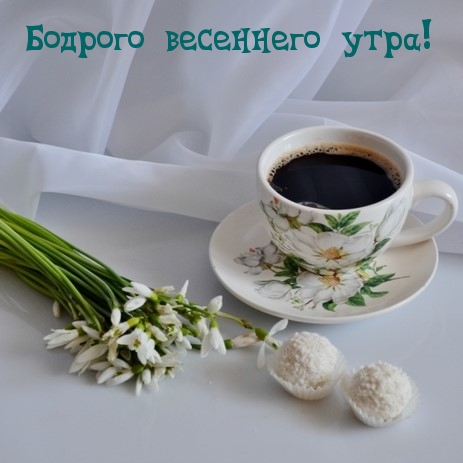 Бодрого весеннего утра!