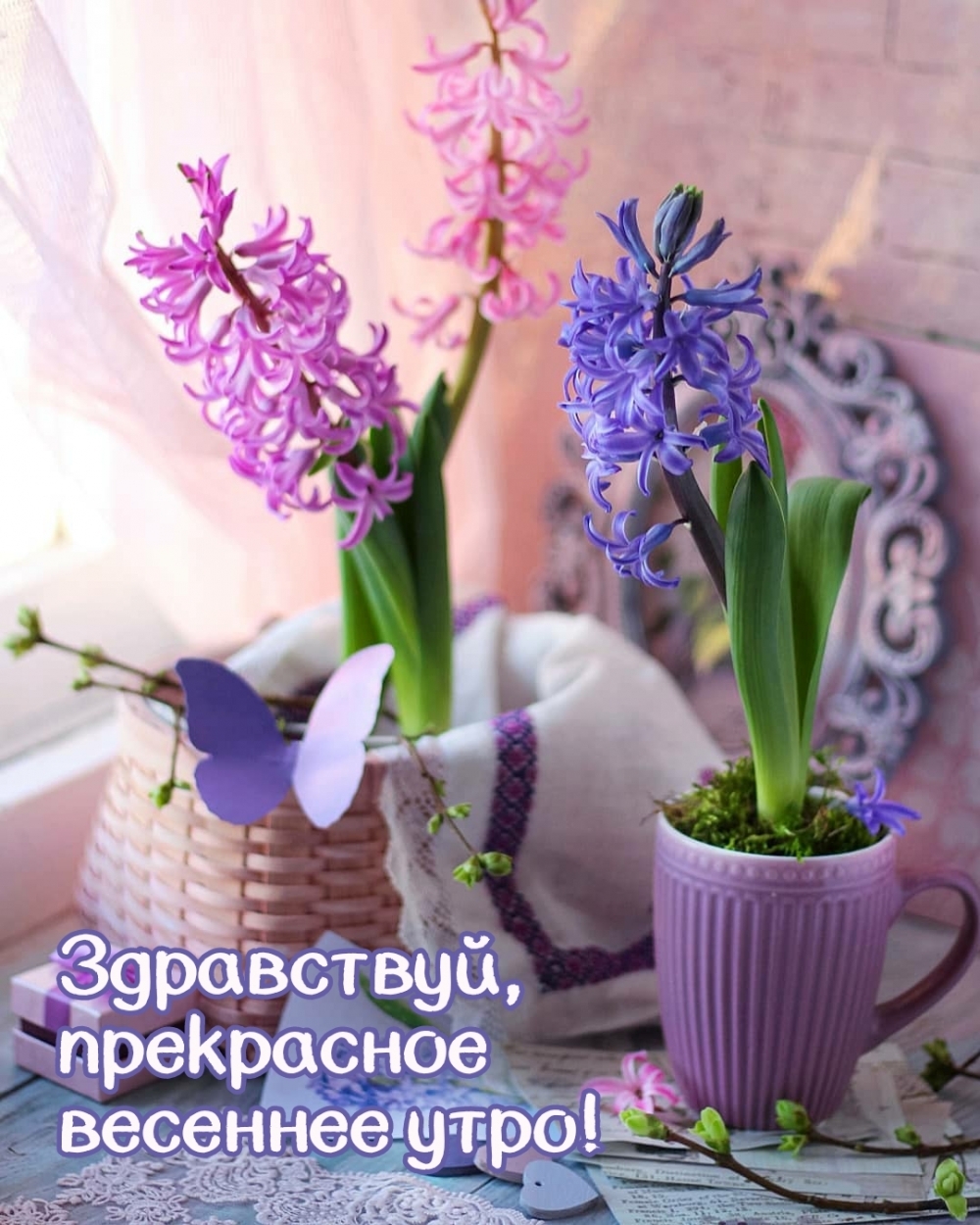 Здравствуй, прекрасное весеннее утро!