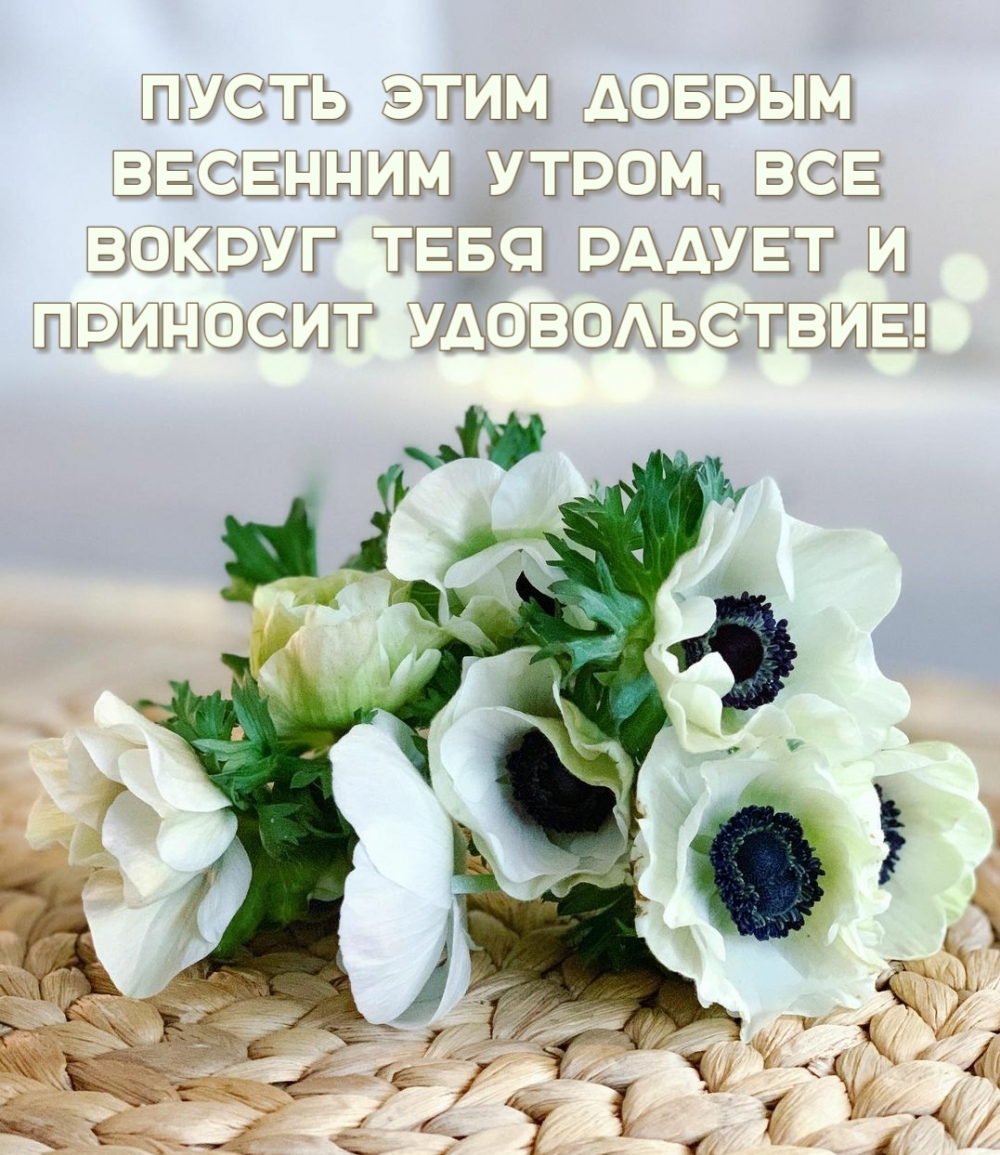 Пусть этим добрым весенним утром, все вокруг тебя радует