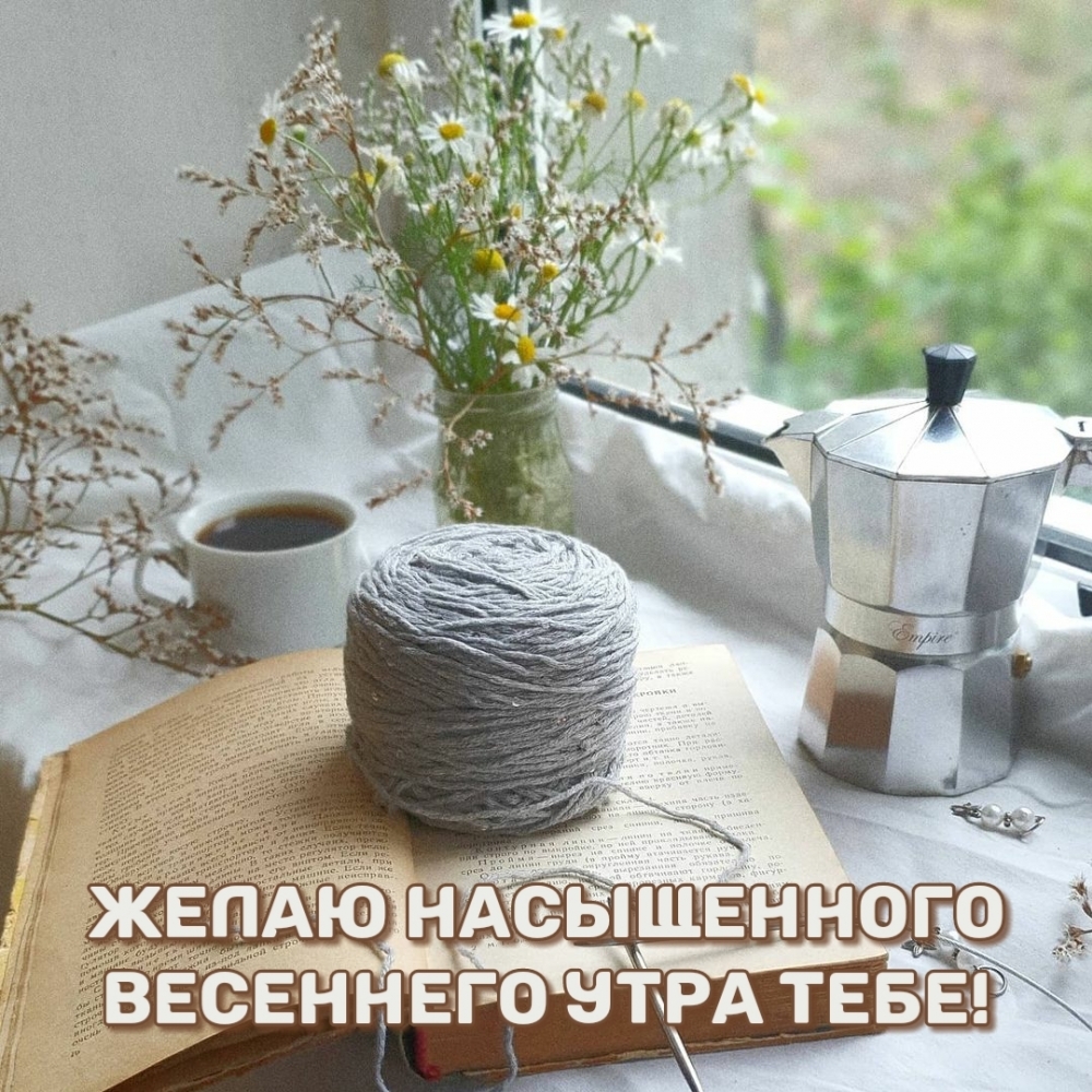 Желаю насыщенного весеннего утра тебе!