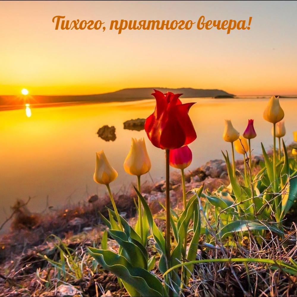 Тихого, приятного вечера!