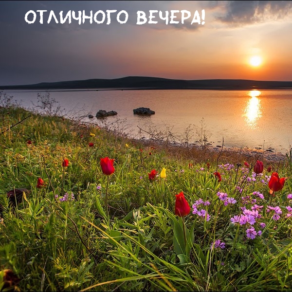 Отличного вечера!
