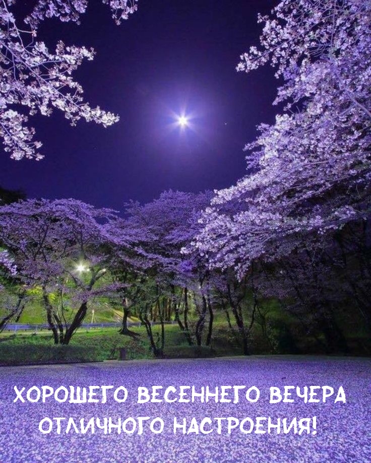 Хорошего весеннего вечера отличного настроения!