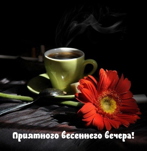 Приятного весеннего вечера!