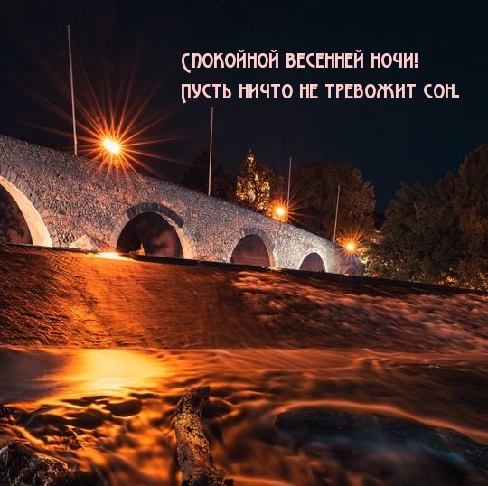 Спокойной весенней ночи! Пусть ничто не тревожит сон.