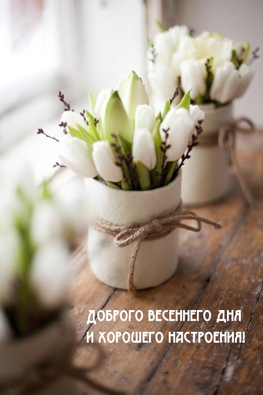 Картинка - Доброго весеннего дня и хорошего настроения!.