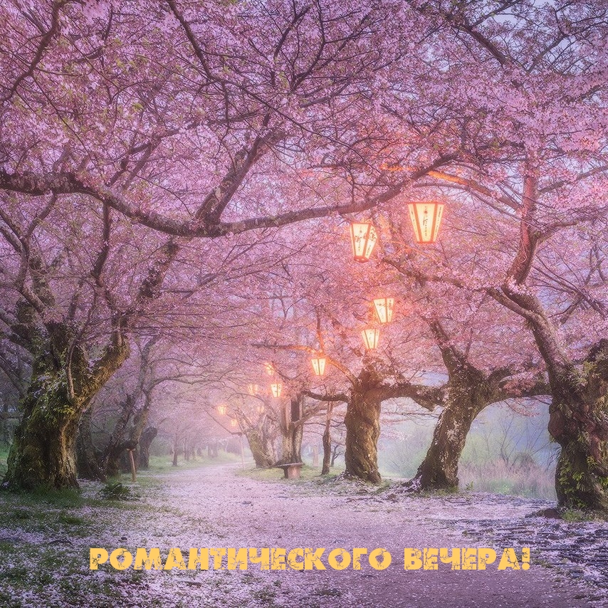 Романтического вечера!