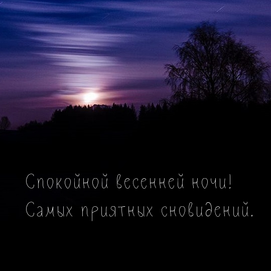 Спокойной весенней ночи! Самых приятных сновидений.