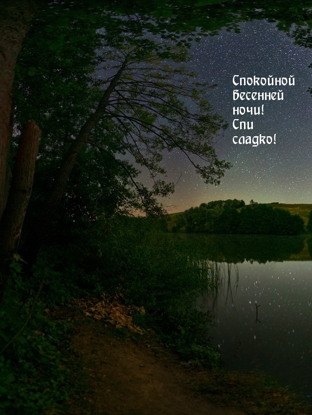 Спокойной весенней ночи! Спи сладко!