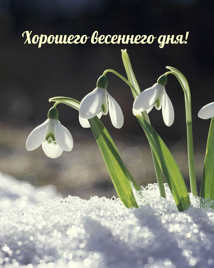 Хорошего весеннего дня!