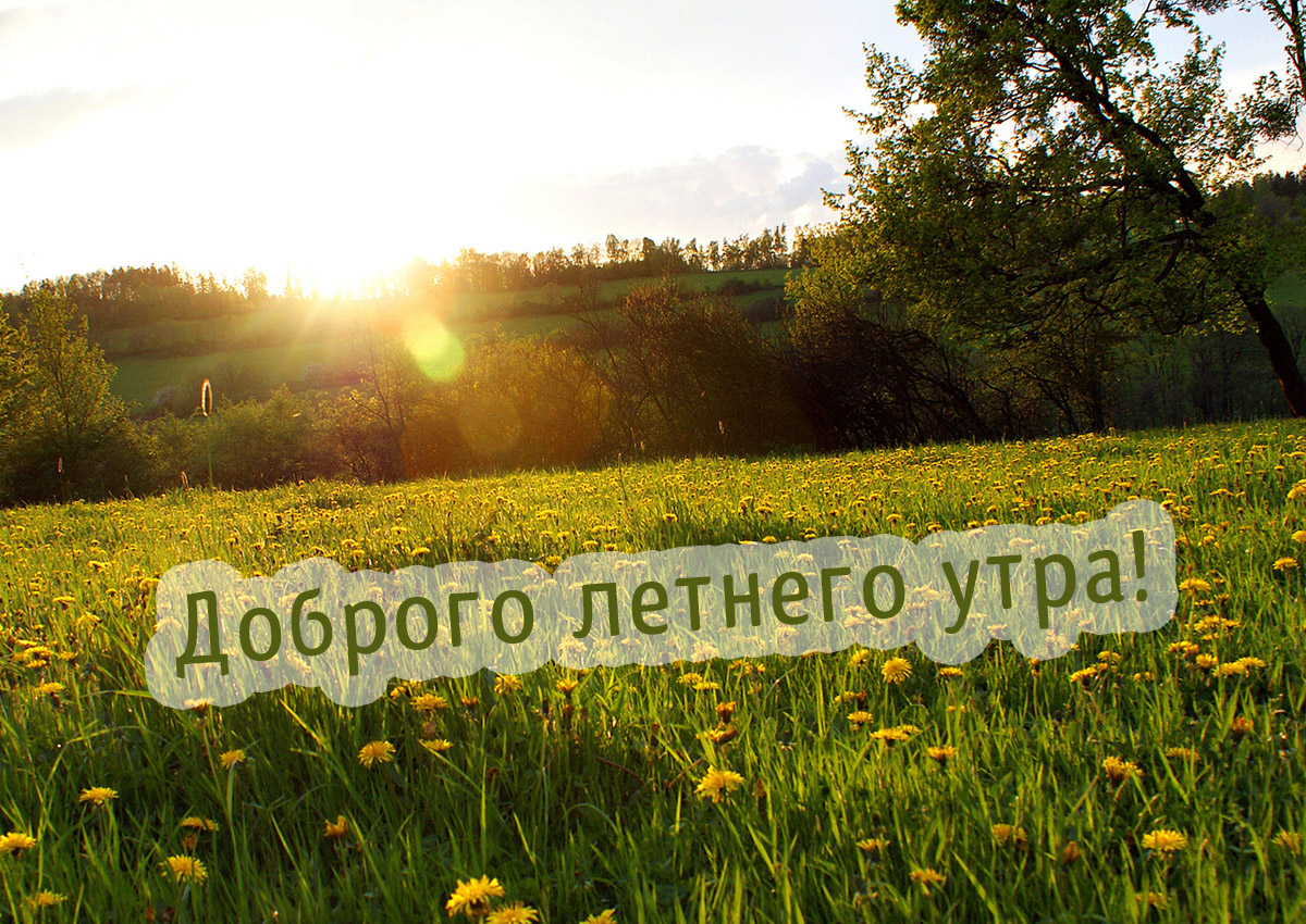 Доброго летнего утра!