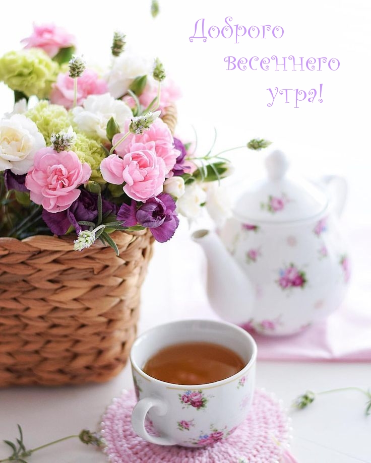 Доброго весеннего утра!