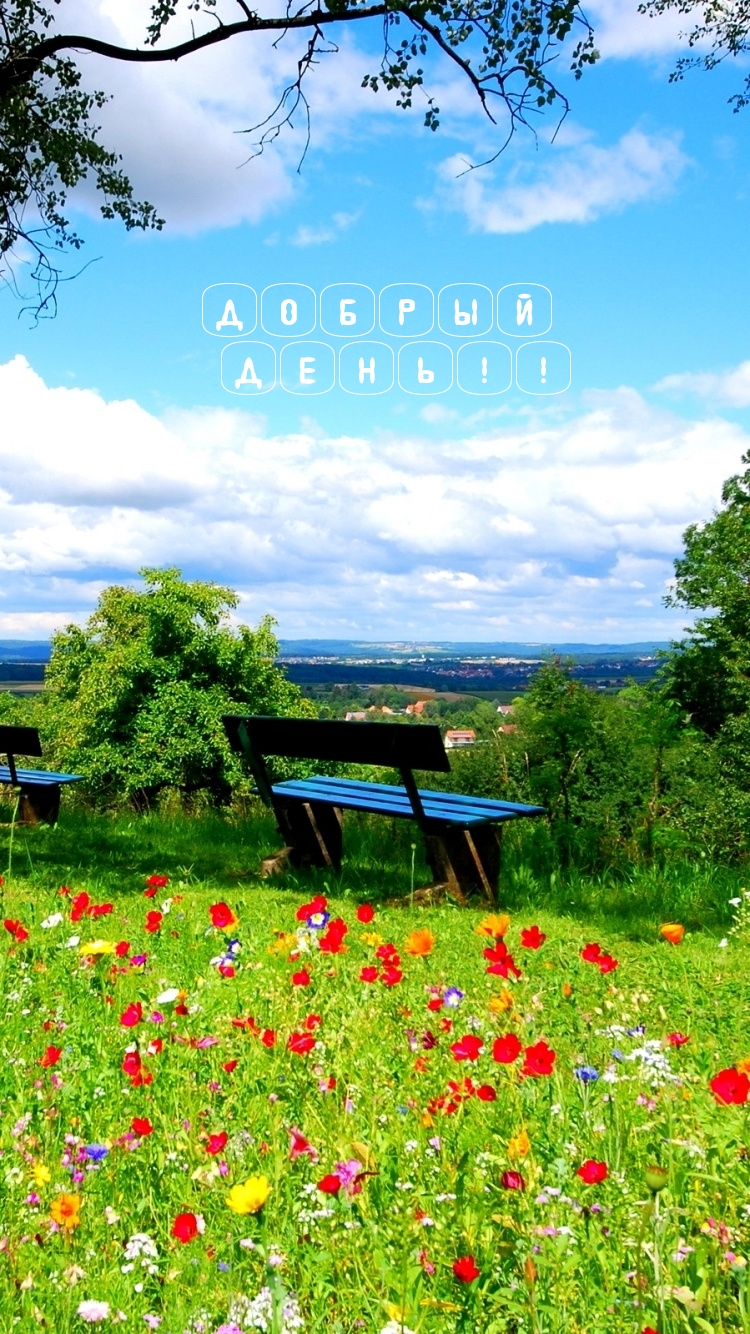 Добрый день!