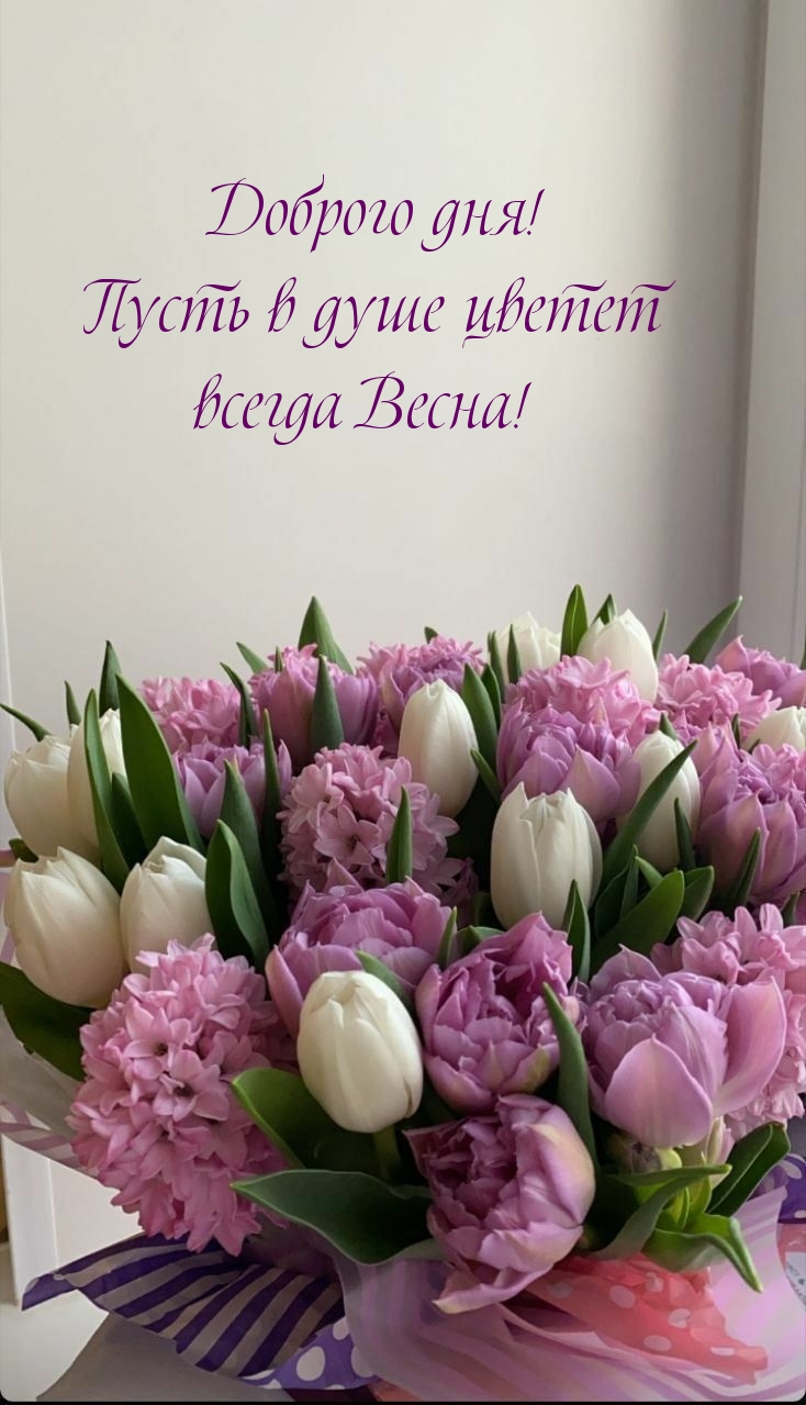 Пусть в душе цветет всегда Весна!