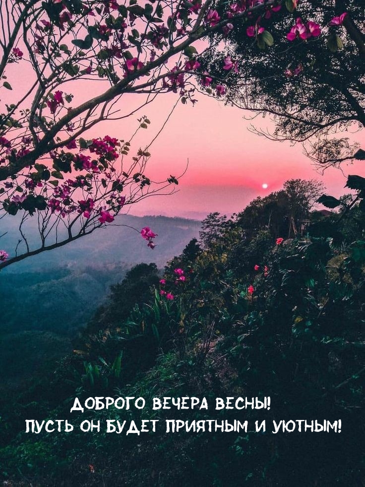 Доброго вечера весны! Пусть он будет приятным