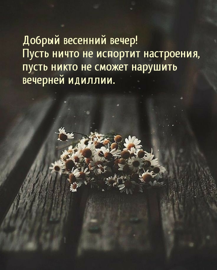 Пусть никто не сможет разрушить вечерней идиллии.