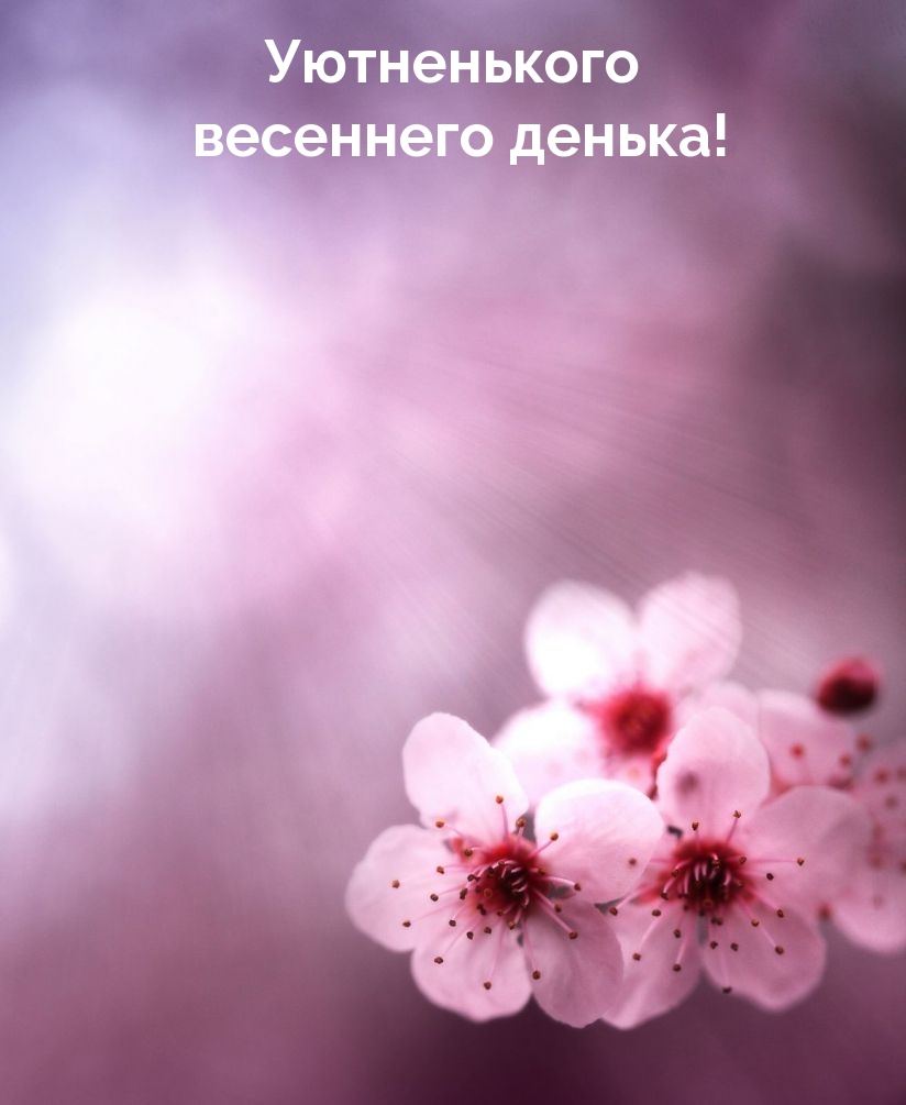 Уютненького весеннего денька!