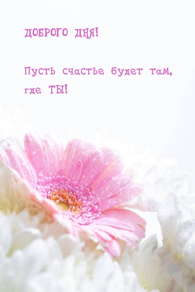 ДОБРОГО ДНЯ! Пусть счастье будет там, где ТЫ!