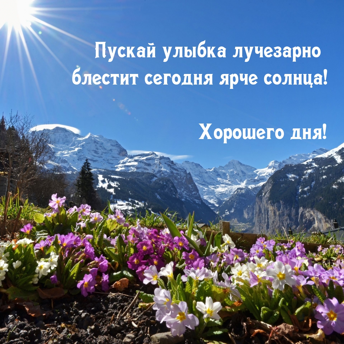 Пускай улыбка лучезарно блестит сегодня ярче солнца!